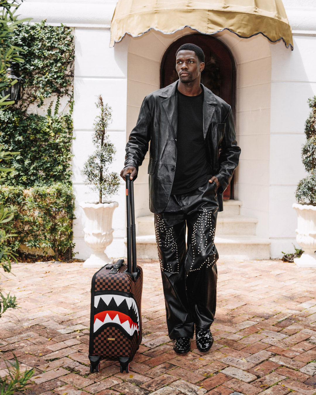 SAWTOOTH SHARKS IN PARIS CARRY-ON LUGGAGE